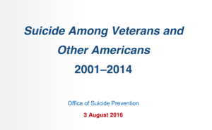 veteran suicide